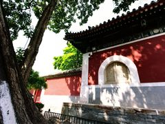 -北京艺术博物馆(万寿寺)