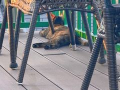 -EATALIA意塔利意式餐厅(鼓楼店)