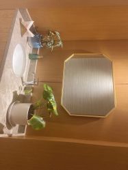 -苑苑vbeauty科技美容SPA