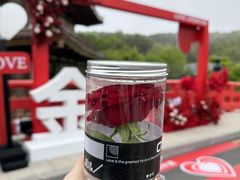 -大连金石滩国家旅游度假区