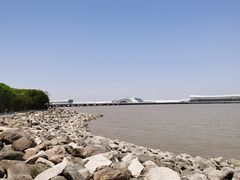 -吴淞炮台湾湿地森林公园烧烤区