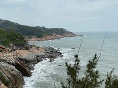 -广东惠东海龟国家级自然保护区