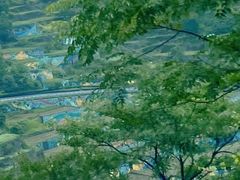 -四明山国家森林公园