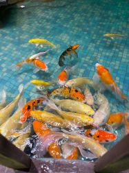 -酷嗒动物文化乐园(cutezoo西溪乐天城店)