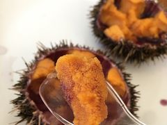 -海胆小馆(东北水饺·春柳店)