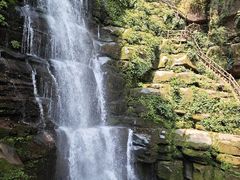 -碧峰峡风景区