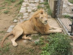 -石家庄市动物园