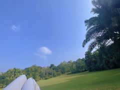 -中国科学院西双版纳热带植物园