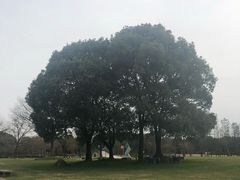 -东方绿舟景区