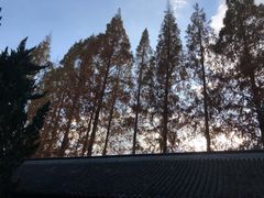 -汇龙潭