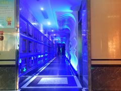 -佰迪乐KTV·大屏K歌(公园店)