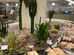 -OUR Bakery(SKP-S店)