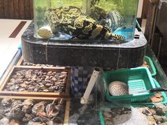 水产区-新时代大酒店(仰口路店)