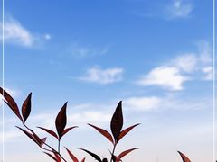 -渭河城市绿地运动公园