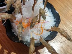 -尚海豆捞(乐虹坊店)