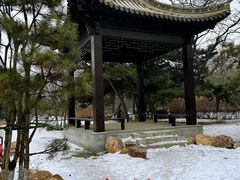 -万泉公园