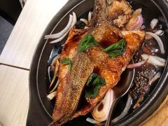 山西老醋鲈鱼-九毛九西北菜(百信广场店)