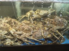 -蟹之国·精品蟹料理(极地店)