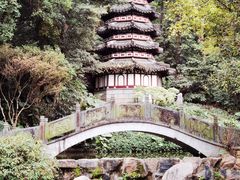 -深圳国际园林花卉博览园