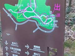 -上海佘山国家森林公园天马山园