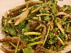 -佳面馆·竹升云吞面·爽鱼皮·牛腩面(易发店)