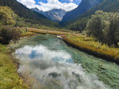 -稻城亚丁景区-冲古草甸