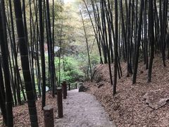 -藏龙百瀑风景区