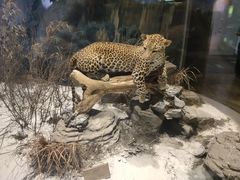 -陕西自然博物馆