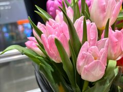 -伊藤洋华堂(温江店)