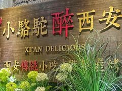 -福苗小骆驼烧烤(凤八店)