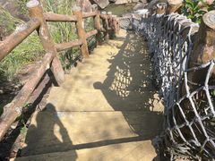 -广州白江湖森林公园