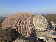 -牛首山文化旅游区