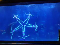 -蓬莱欧乐堡海洋极地世界