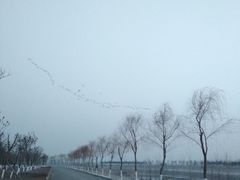 -洨河生态公园