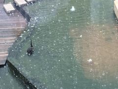 -南京圣和府邸豪华精选酒店