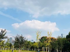 -天鹅湖体育公园