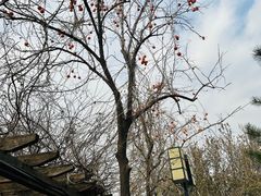 -有喜胶东小馆(太申祥和店)