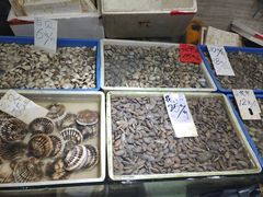 -珠光市场(文德南路)