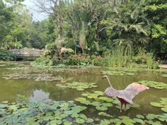 -曼听御花园