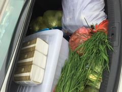 -南汇老顾农家乐采摘大团水蜜桃采摘店