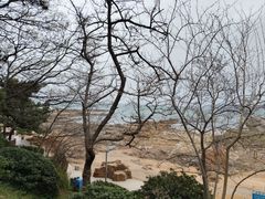 -青岛第二海水浴场