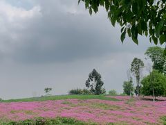-白鹭湾湿地公园