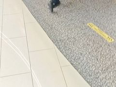 -青年公社烤鸭(熙悦天街店)