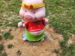 -金龙寺国家森林公园