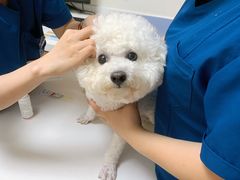 -全心全意连锁动物医院·特色中医诊疗(会城门分院)