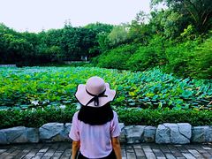-云溪植物园