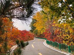 -石家庄市动物园