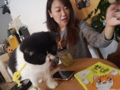 -平行世界·猫咖(首经贸店)