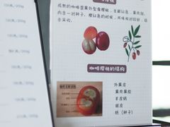 -云之上咖啡馆