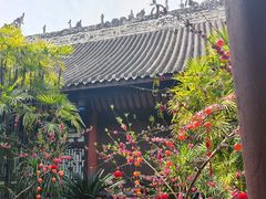 -食神又名厕所兔